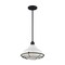 Nuvo Fixture, Pendant, 1-Light, Incandescent, 60W, 120V, A19, Medium Base 60/7024 - alternate 2